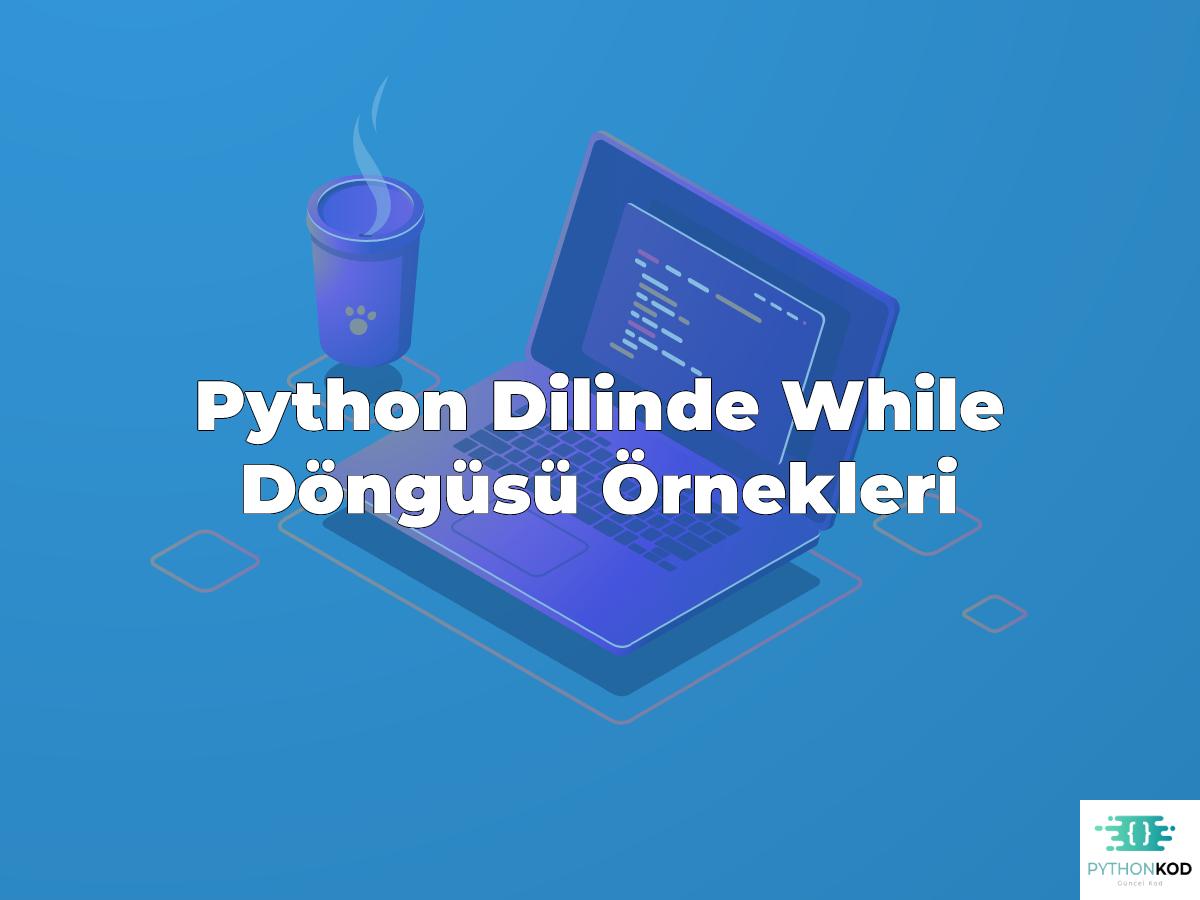 Python Dilinde While Döngüsü Örnekleri